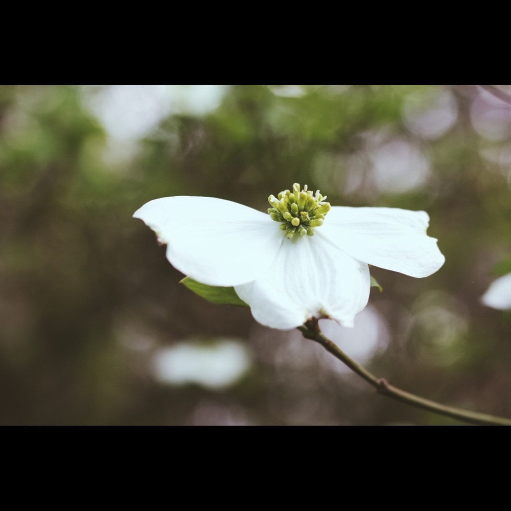 Postcards! - Picture 4 of 8